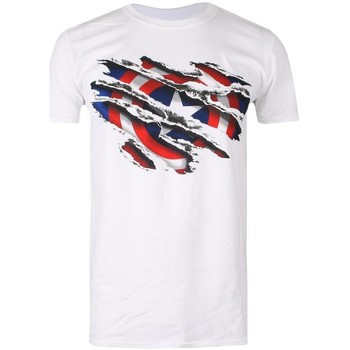 Abbigliamento Bambino T-shirt maniche corte Captain America  Bianco