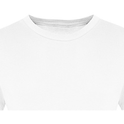 Abbigliamento Donna T-shirts a maniche lunghe Awdis Just Ts The 100 Bianco