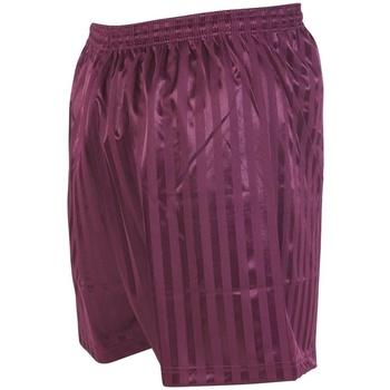 Abbigliamento Shorts / Bermuda Precision Continental Multicolore