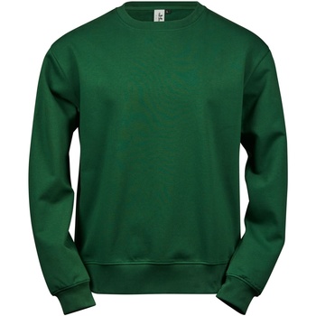 Abbigliamento Uomo Felpe Tee Jays TJ5100 Verde
