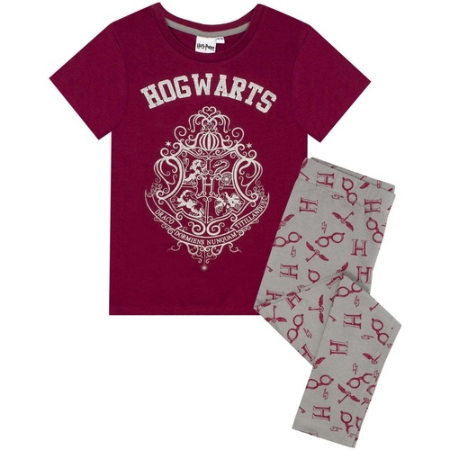 Abbigliamento Bambina Pigiami / camicie da notte Harry Potter NS6759 Multicolore