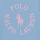Abbigliamento Bambina T-shirt maniche corte Polo Ralph Lauren SS GRAPHIC T-KNIT SHIRTS-T-SHIRT Blu / Cielo / Rosa