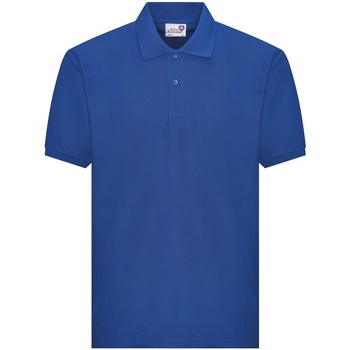 Abbigliamento Unisex bambino T-shirt & Polo Awdis RW8194 Blu