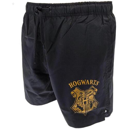 Abbigliamento Uomo Shorts / Bermuda Harry Potter TA9203 Blu