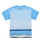 Abbigliamento Bambino T-shirt maniche corte Desigual TS_ALBERT Blu