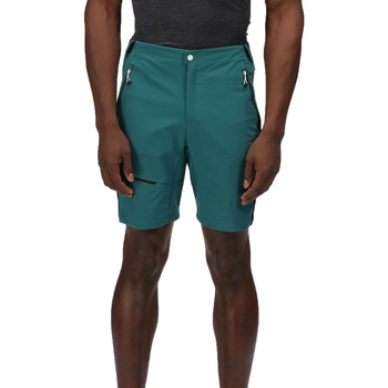 Abbigliamento Uomo Shorts / Bermuda Regatta Highton Pro Nero