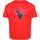 Abbigliamento Unisex bambino T-shirt maniche corte Regatta Alvarado VI Rosso