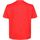Abbigliamento Unisex bambino T-shirt maniche corte Regatta Alvarado VI Rosso