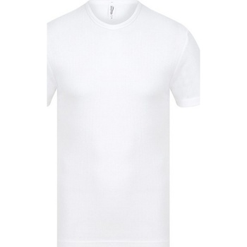 Abbigliamento Uomo T-shirt maniche corte Absolute Apparel  Bianco