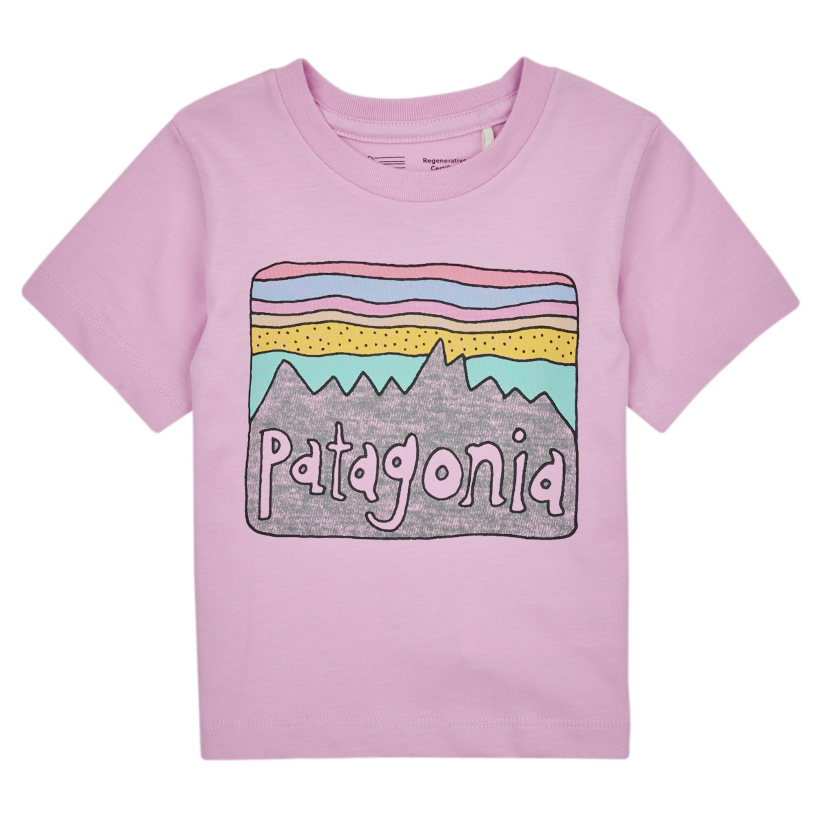 Abbigliamento Unisex bambino T-shirt maniche corte Patagonia Baby Regenerative Organic Certified Cotton Fitz Roy Skies T- Lilas