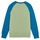 Abbigliamento Unisex bambino Felpe Patagonia K's LW Crew Sweatshirt Multicolore
