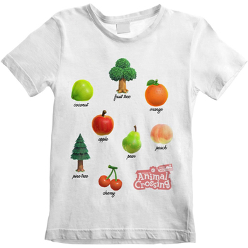Abbigliamento Unisex bambino T-shirt maniche corte Animal Crossing  Bianco