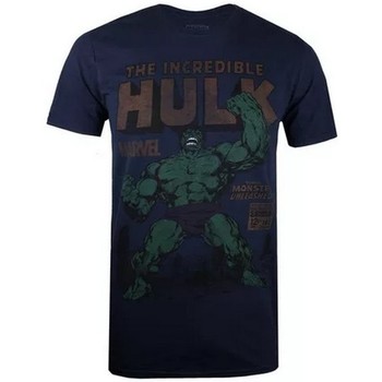 Abbigliamento Uomo T-shirts a maniche lunghe Hulk  Blu