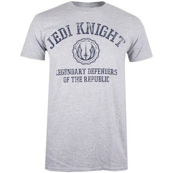 Abbigliamento Uomo T-shirts a maniche lunghe Disney Legendary Defenders Of The Republic Grigio