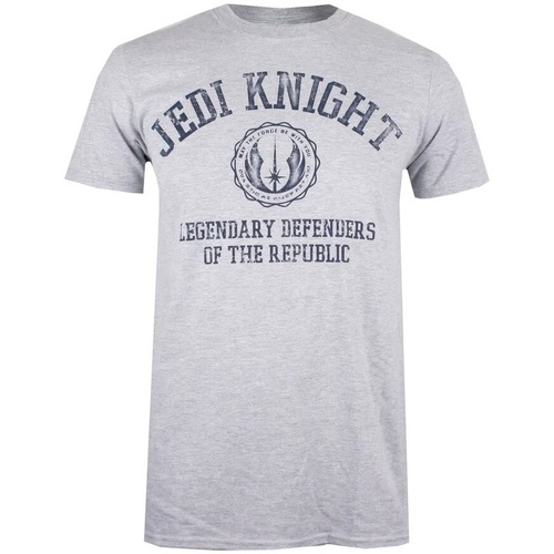 Abbigliamento Uomo T-shirts a maniche lunghe Disney Legendary Defenders Of The Republic Grigio