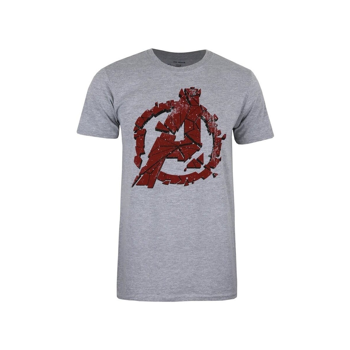 Abbigliamento Uomo T-shirts a maniche lunghe Avengers Endgame TV1646 Grigio