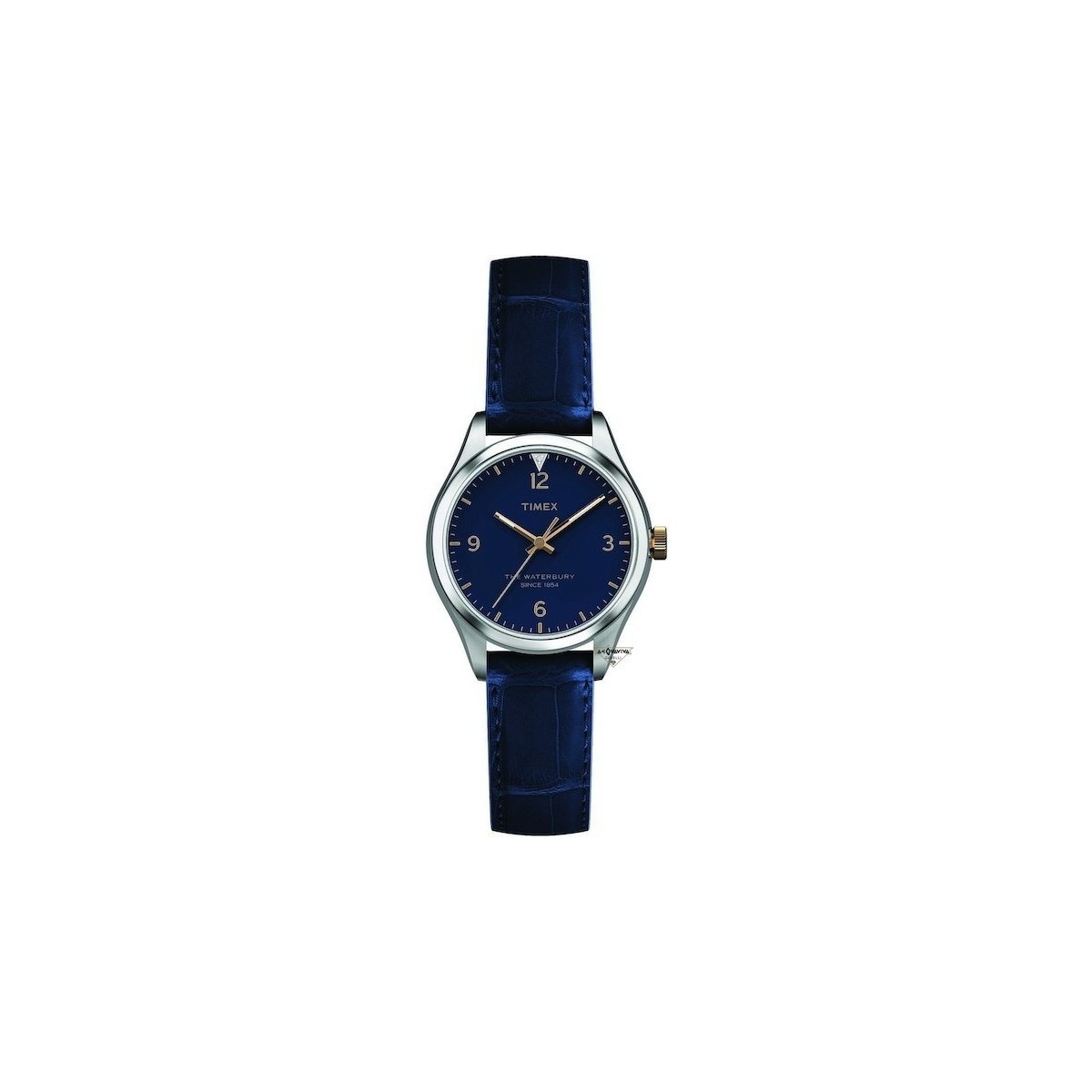 Orologi & Gioielli Orologi e gioielli Timex  Argento