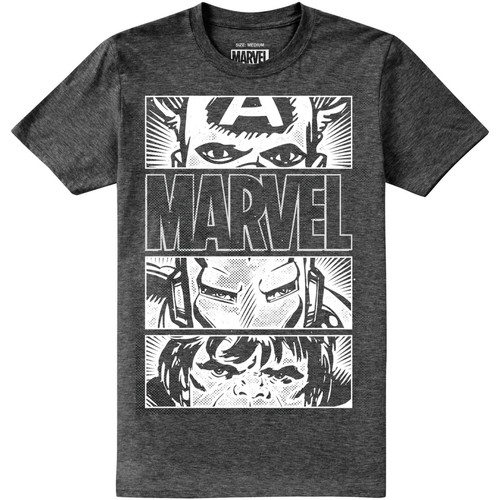 Abbigliamento Uomo T-shirts a maniche lunghe Marvel Heroes Eyes Grigio
