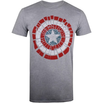 Abbigliamento Uomo T-shirts a maniche lunghe Captain America  Grigio