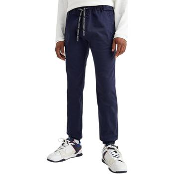 Abbigliamento Uomo Pantaloni Tommy Jeans  Blu