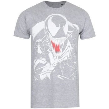 Abbigliamento Uomo T-shirts a maniche lunghe Venom  Grigio