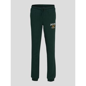 Abbigliamento Bambino Pantaloni Jack & Jones 12213086 SWEAT PANT 2-PINE GROVE Verde
