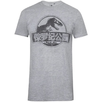 Abbigliamento Uomo T-shirts a maniche lunghe Jurassic Park TV1699 Grigio