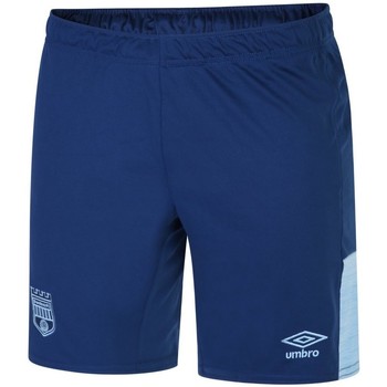 Abbigliamento Uomo Shorts / Bermuda Umbro 22/24 Blu
