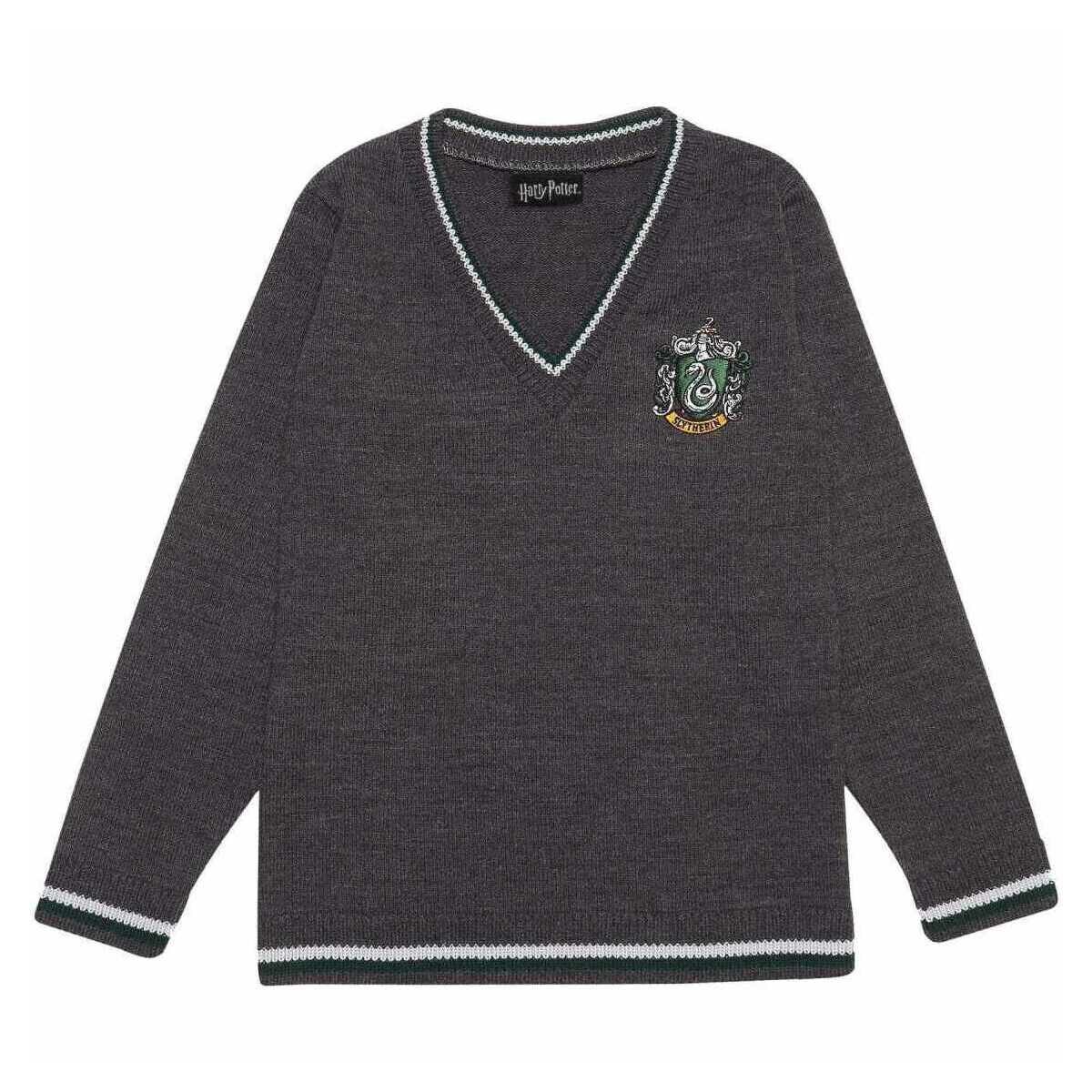 Abbigliamento Unisex bambino Maglioni Harry Potter HE1206 Verde