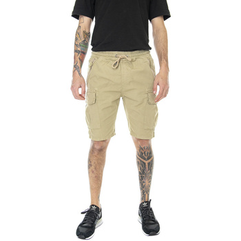 Abbigliamento Uomo Shorts / Bermuda Alpha Ripstop Marrone