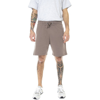 Abbigliamento Uomo Shorts / Bermuda Alpha Organics Jogger Marrone