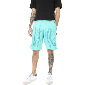 Abbigliamento Uomo Shorts / Bermuda Octopus Dyed Verde