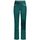 Abbigliamento Donna Pantaloni da tuta Ortovox Pantaloni Col Becchei Donna Pacific Green Verde