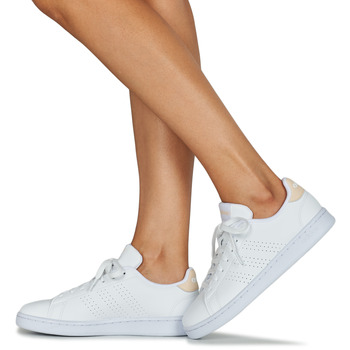 Adidas Sportswear ADVANTAGE Bianco / Beige