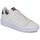 Scarpe Sneakers basse Adidas Sportswear ADVANTAGE Beige / Tartan