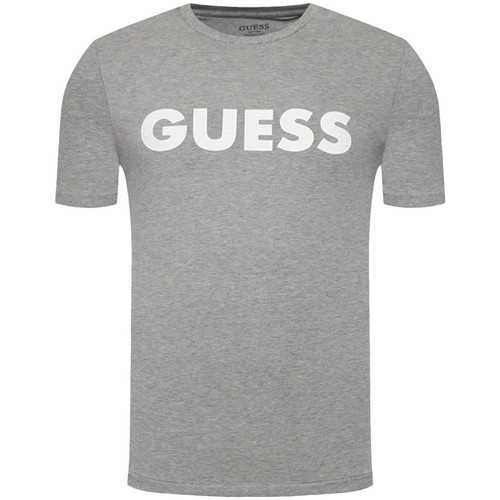 Abbigliamento Uomo T-shirt maniche corte Guess Classic front logo Grigio