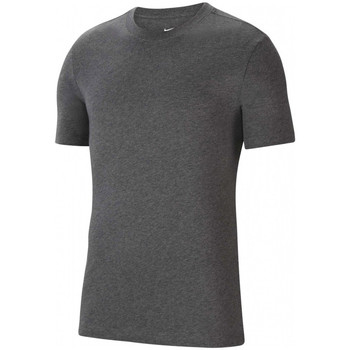Abbigliamento Uomo T-shirt maniche corte Nike CZ0881-071 Grigio