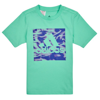 Abbigliamento Unisex bambino T-shirt maniche corte Adidas Sportswear AKD GT Verde / Esay