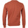 Abbigliamento Uomo Felpe Champion Crewneck Sweatshirt Arancio