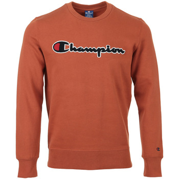 Abbigliamento Uomo Felpe Champion Crewneck Sweatshirt Marrone