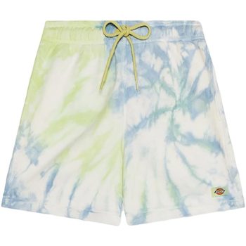 Abbigliamento Uomo Shorts / Bermuda Dickies SEATAC SHORT Verde