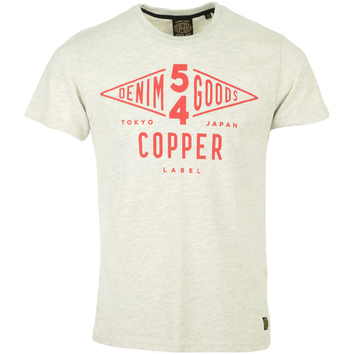 Abbigliamento Uomo T-shirt maniche corte Superdry Copper Label Tee Grigio
