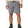 Abbigliamento Uomo Shorts / Bermuda Lee  Grigio