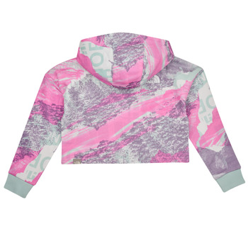 The North Face Girls Drew Peak Light Hoodie Multicolore