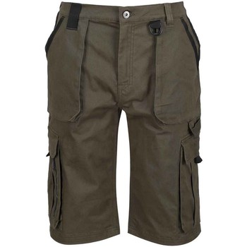 Abbigliamento Uomo Shorts / Bermuda Regatta RG741 Multicolore