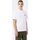 Abbigliamento Uomo T-shirt & Polo Dickies HOLTVILLE TEE Bianco