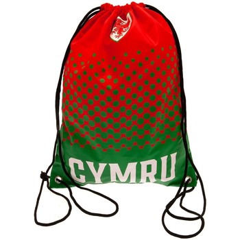 Borse Borse da sport Fa Wales Cymru Rosso