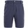Abbigliamento Uomo Shorts / Bermuda Trespass Gatesgillwell B Blu