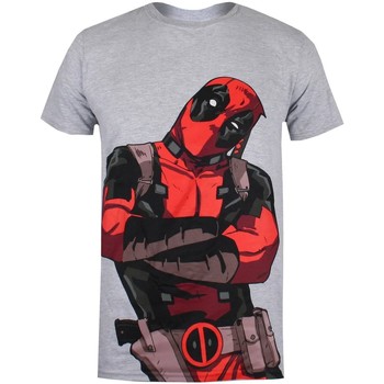 Abbigliamento Uomo T-shirts a maniche lunghe Deadpool Talking Grigio