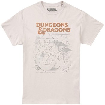 Abbigliamento Uomo T-shirts a maniche lunghe Dungeons & Dragons TV1784 Beige
